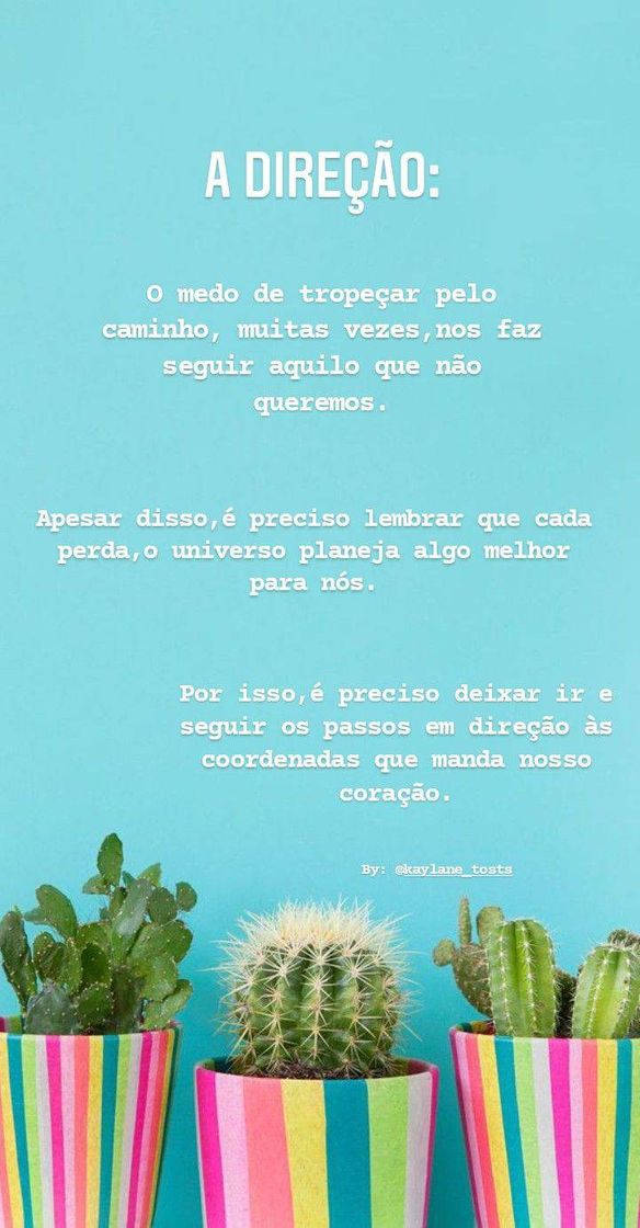 Fashion Frases 