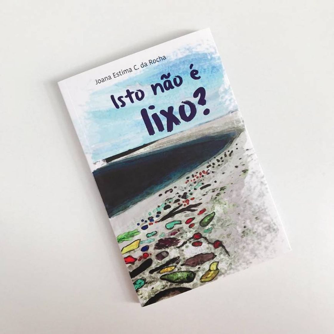 Book 'Isto não é lixo?'