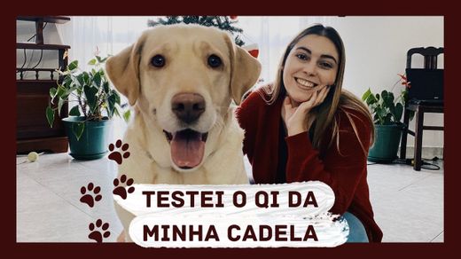 TESTEI O QI DA MINHA CADELA | Ana Lavos