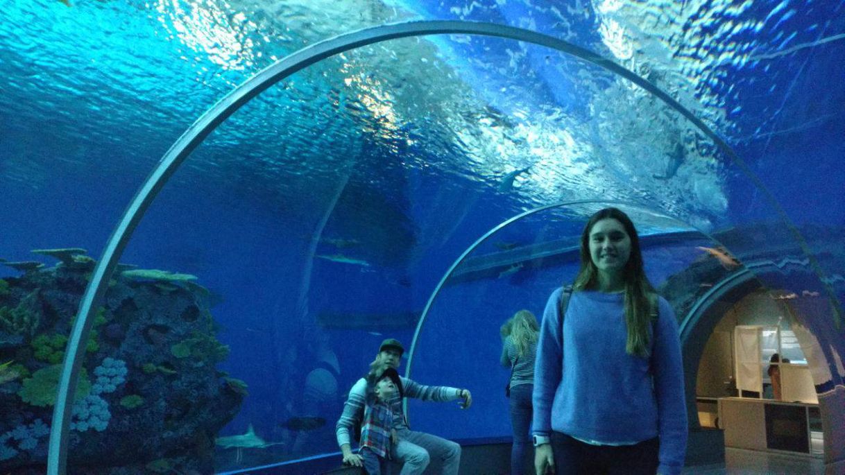 Place National Aquarium Denmark