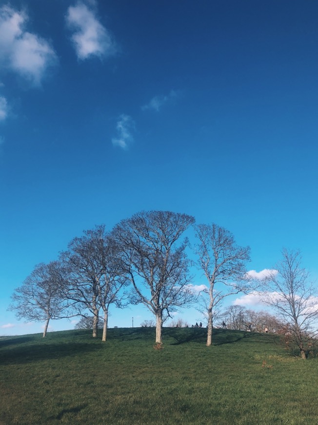 Place Primrose Hill