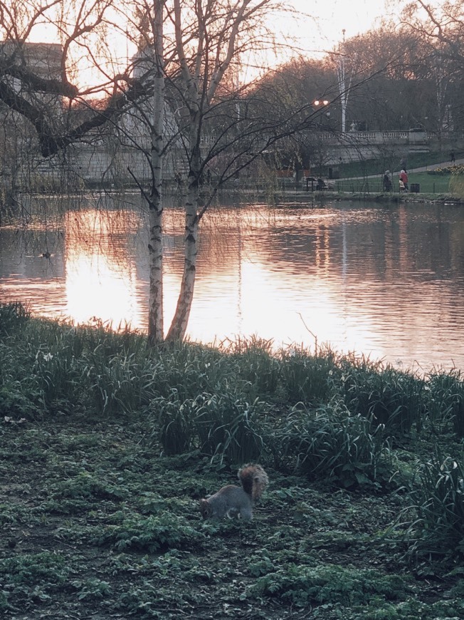 Place St. James's Park