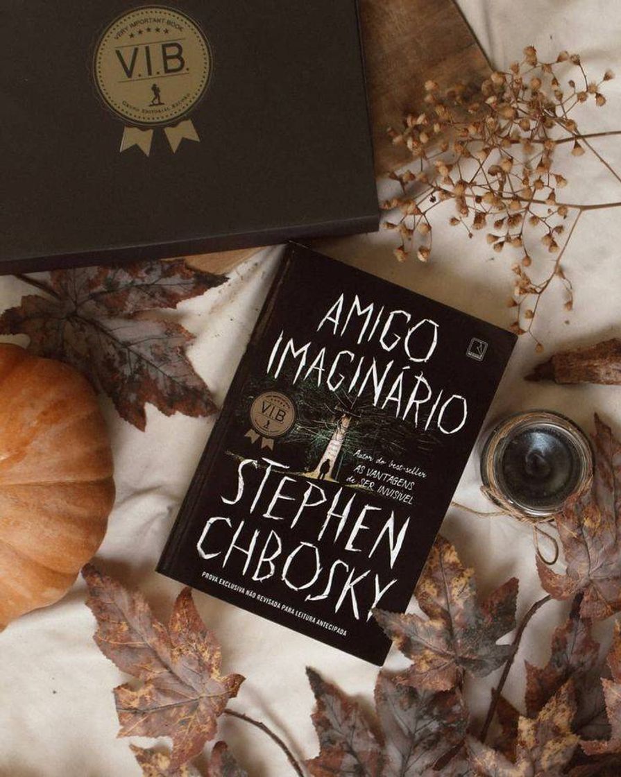 Fashion Amigo imaginário- Stephen Chbosky 