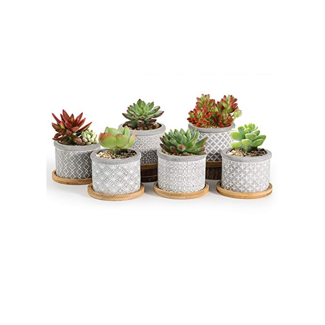 Producto T4U 6CM Macetas para Cactus de Cemento con Plato de Bambú Paquete