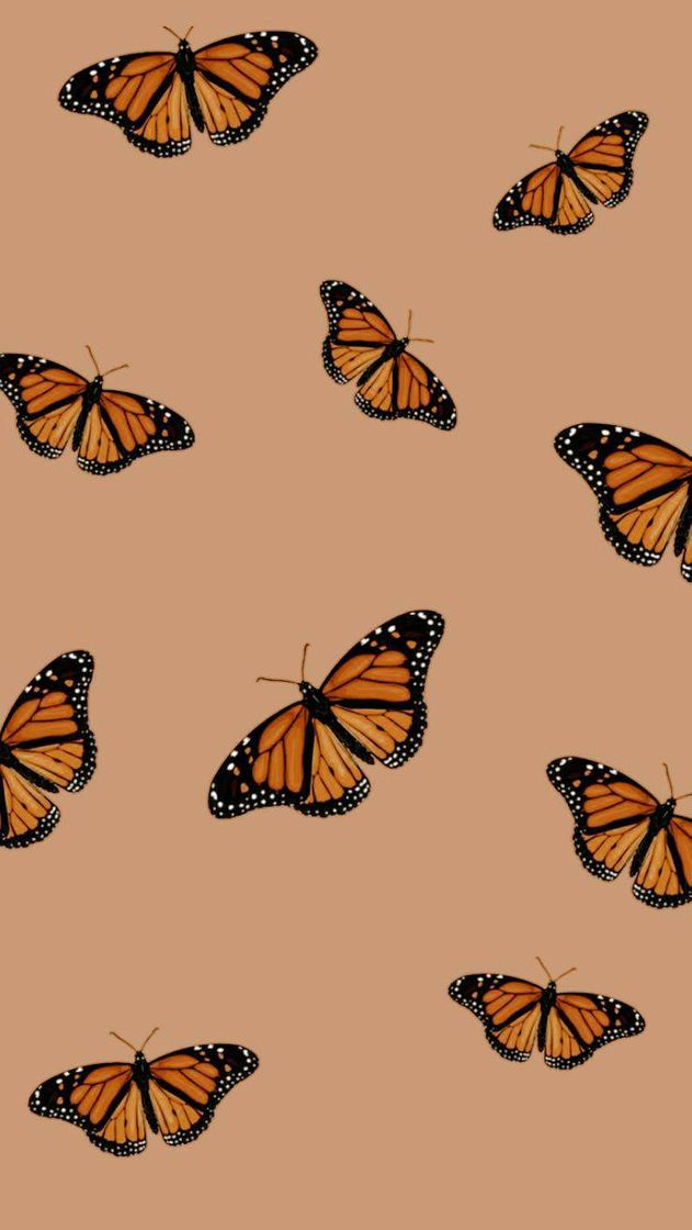 Moda Wallpaper butterfly