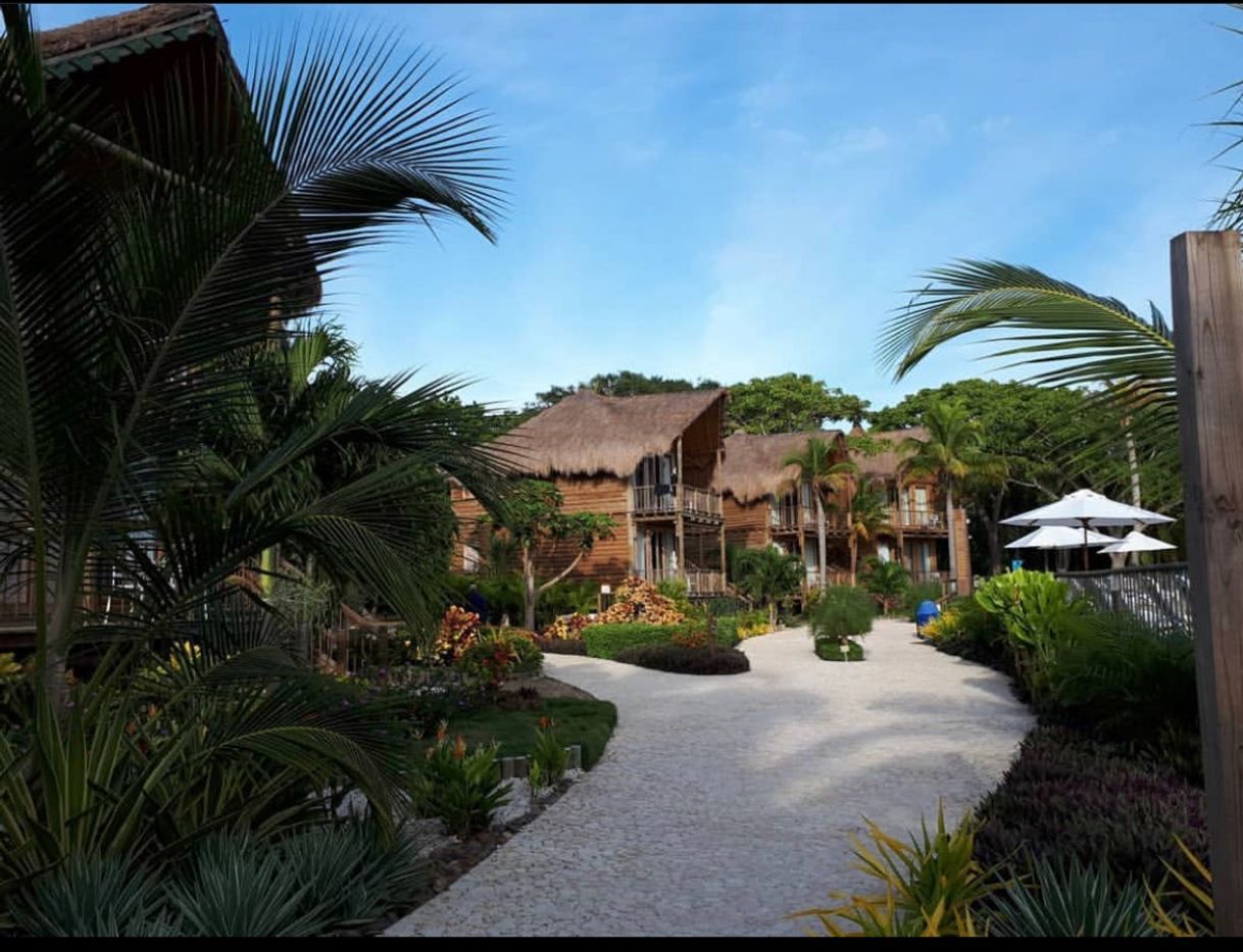 Lugar Hotel Isla del Encanto