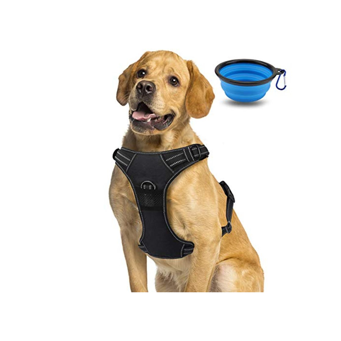 Producto Arnés para Perro Transpirable, Arnés Pecho Antitirones Impermeable con Lineas Reflectante -