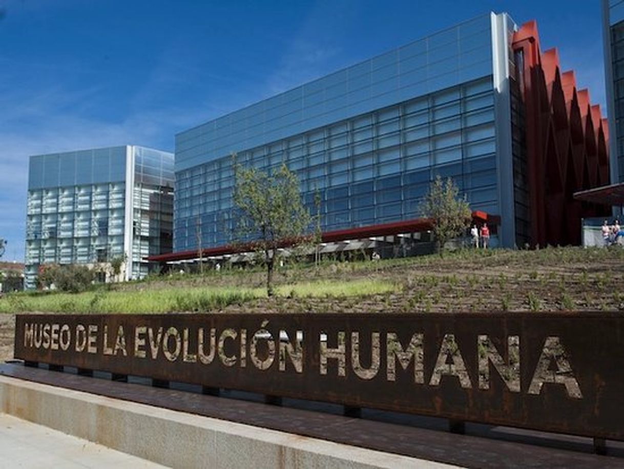 Place Museo de la Evolución Humana