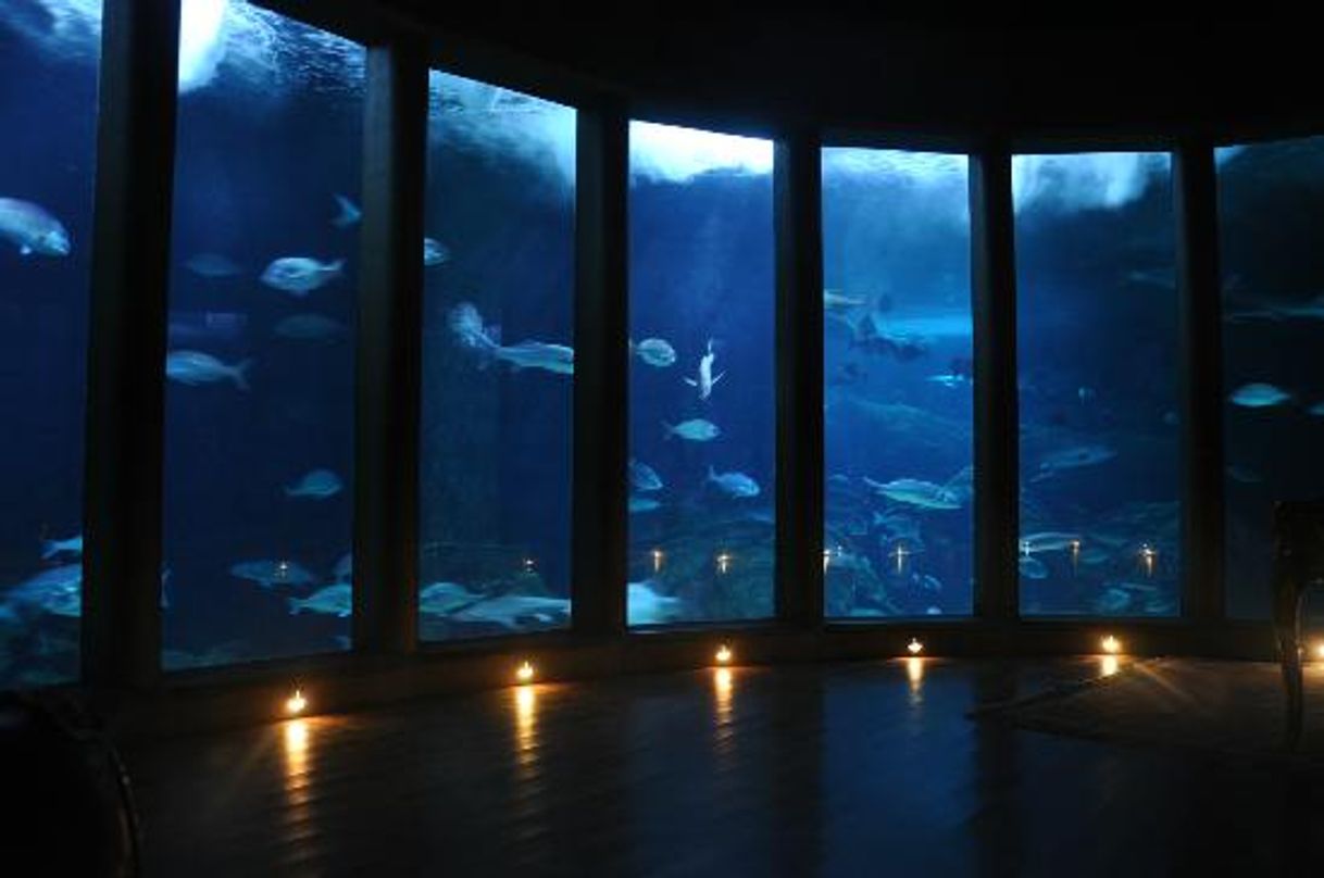 Place Aquarium Finisterrae