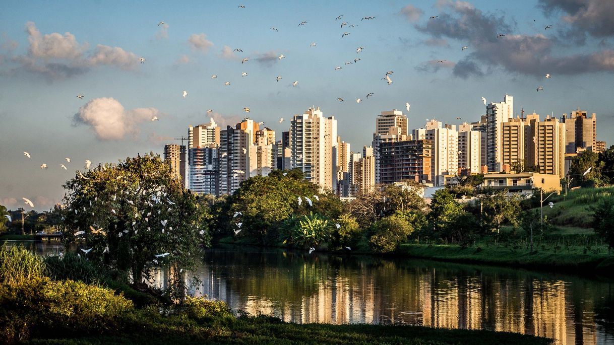 Place Londrina