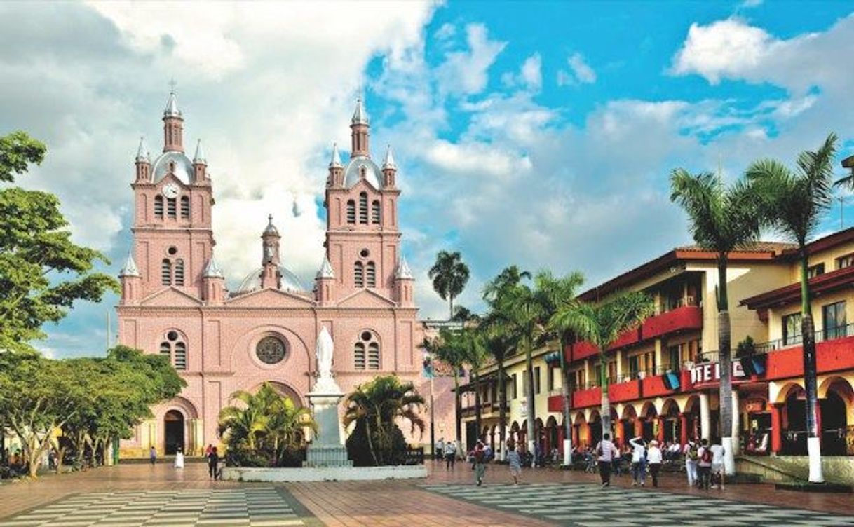 Social Guadalajara de Buga, Valle del Cauca 