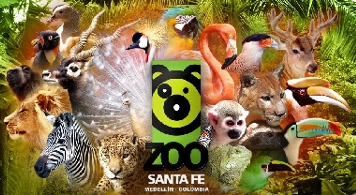 Lugar Parque Zoológico Santa Fe - Medellín - Colombia - Zoo. - Parque ...