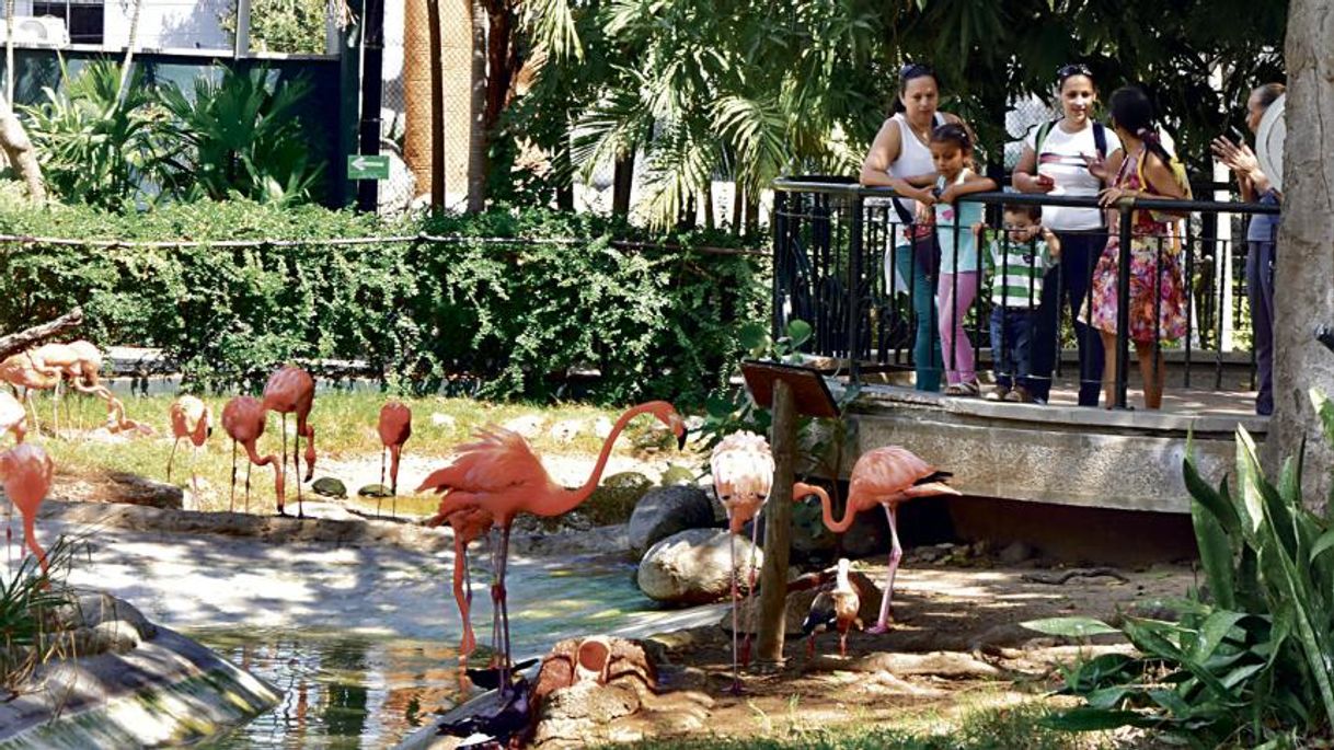 Lugar Zoológico de Barranquilla