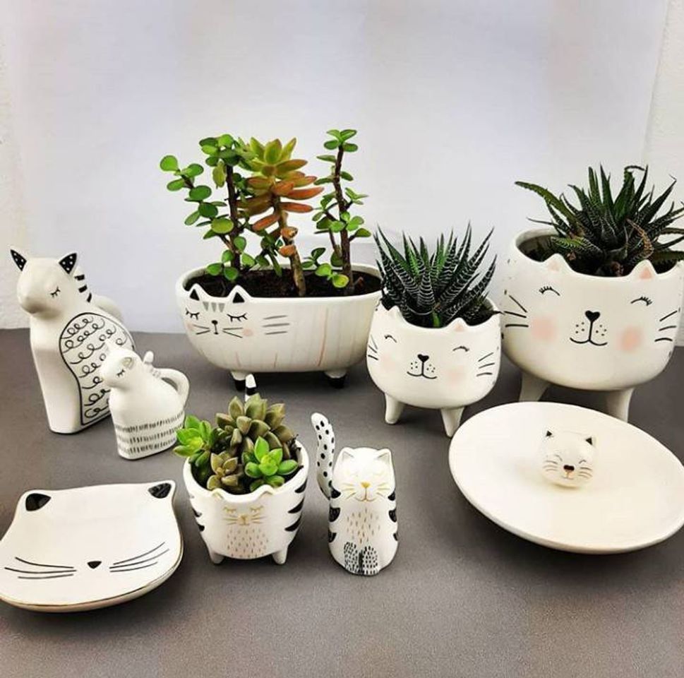 Product Cerâmicas de Gatinho 