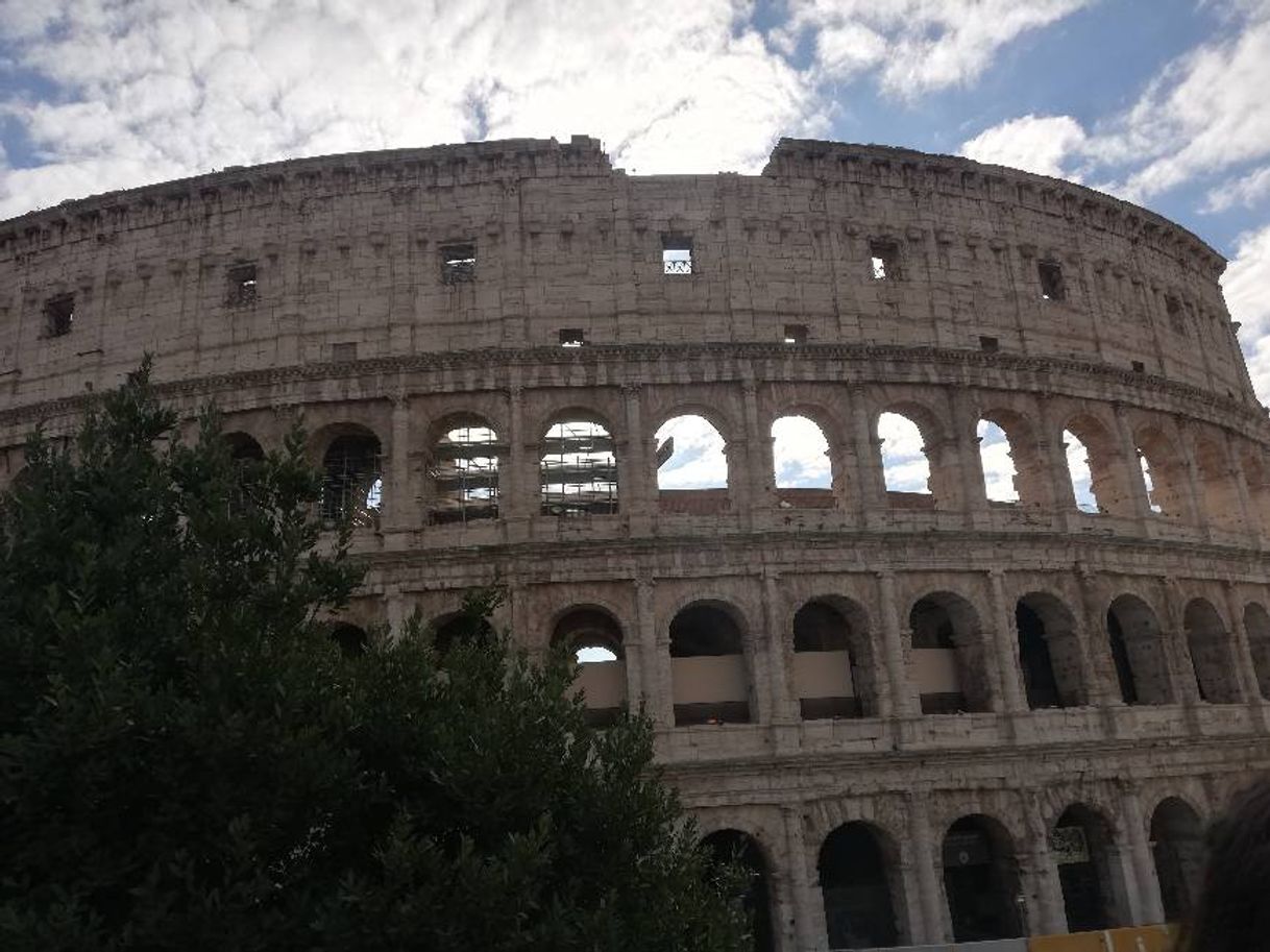 Lugar Coliseo de Roma