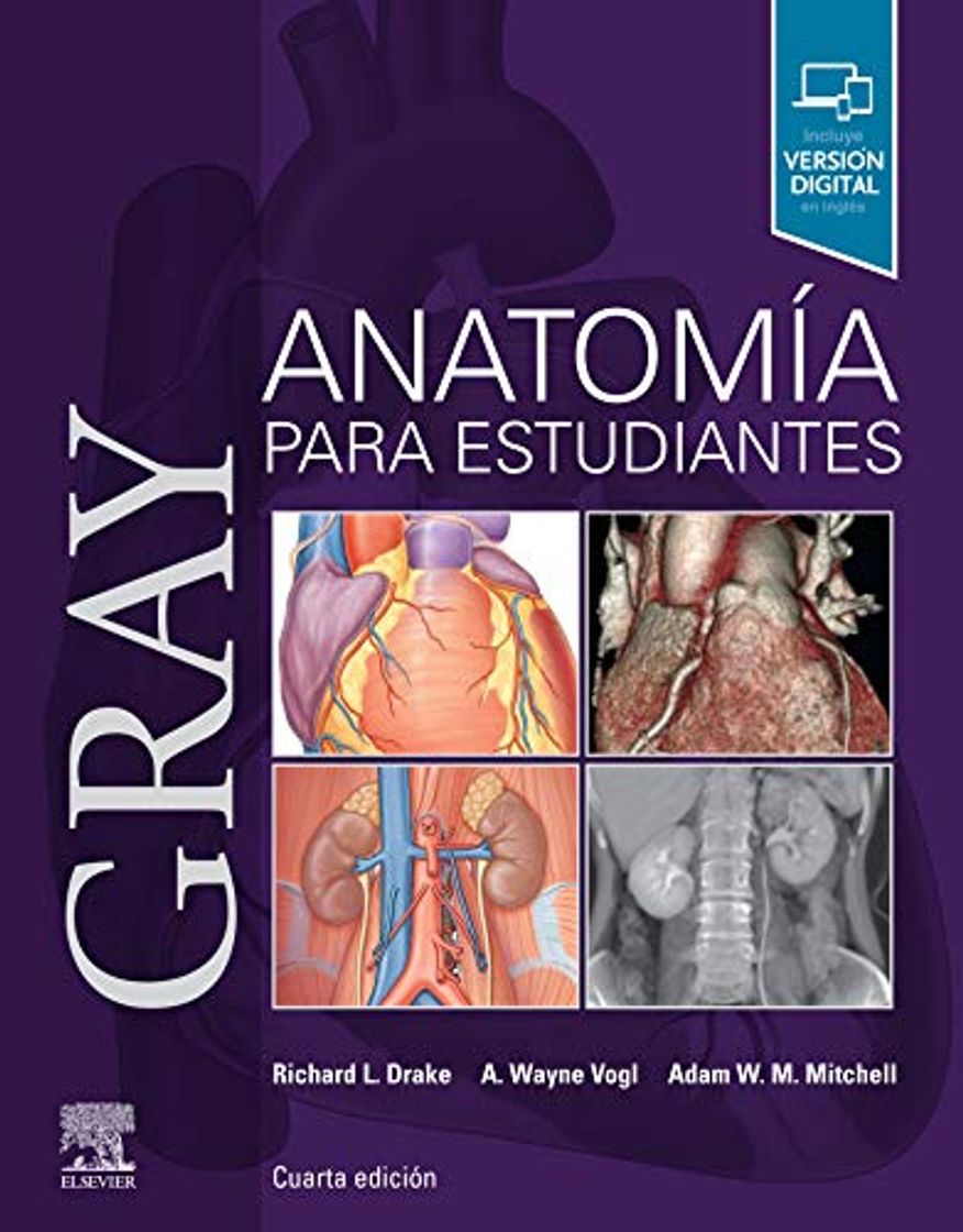 Book Gray