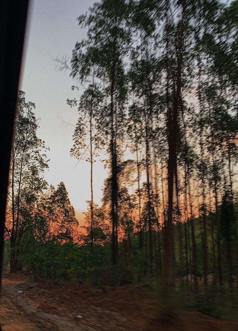 Social Pôr do sol