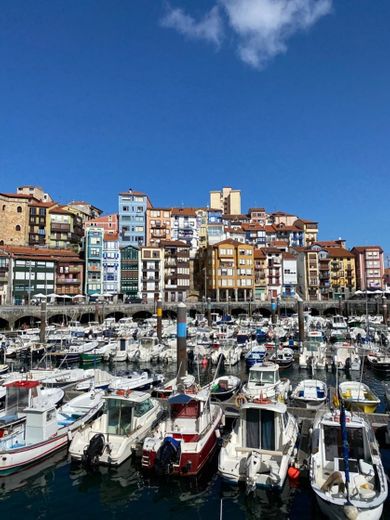 Bermeo