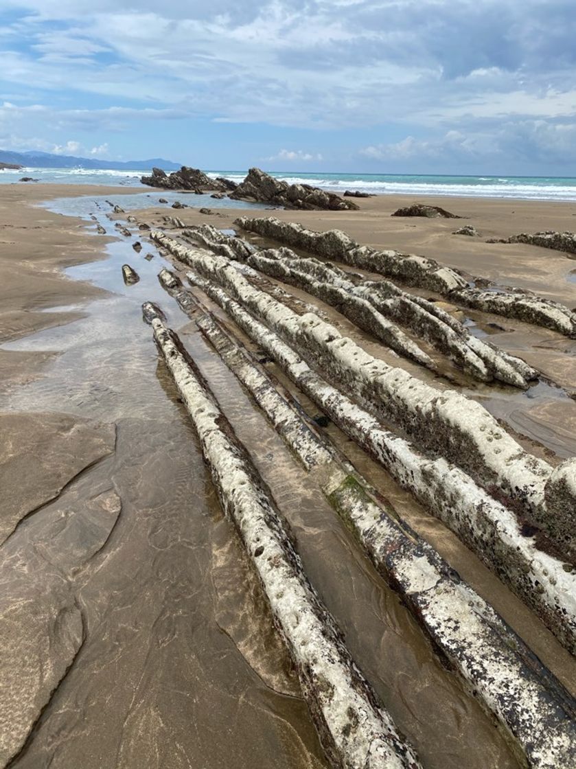 Lugar Flysch