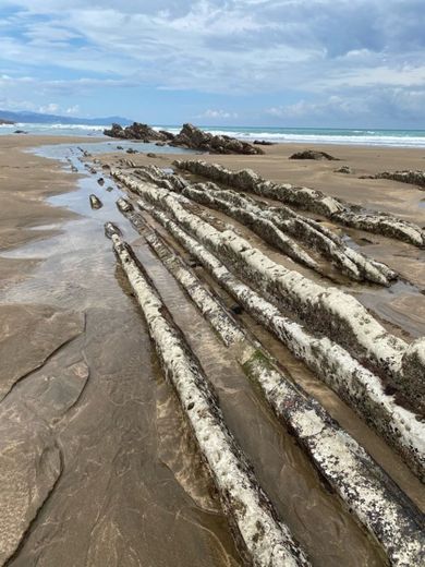 Flysch