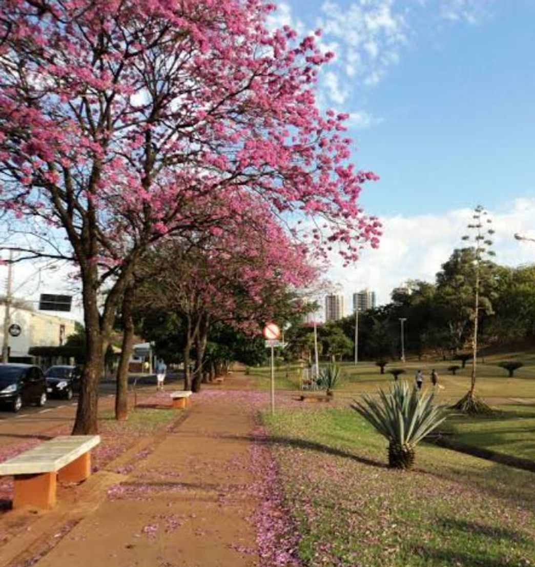 Lugares Parque do Povo