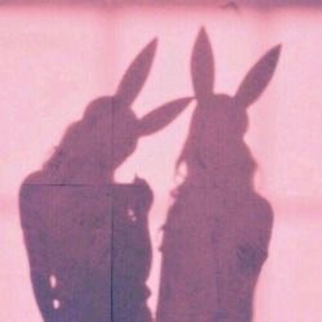 App Enlight Videoleap Video Editor