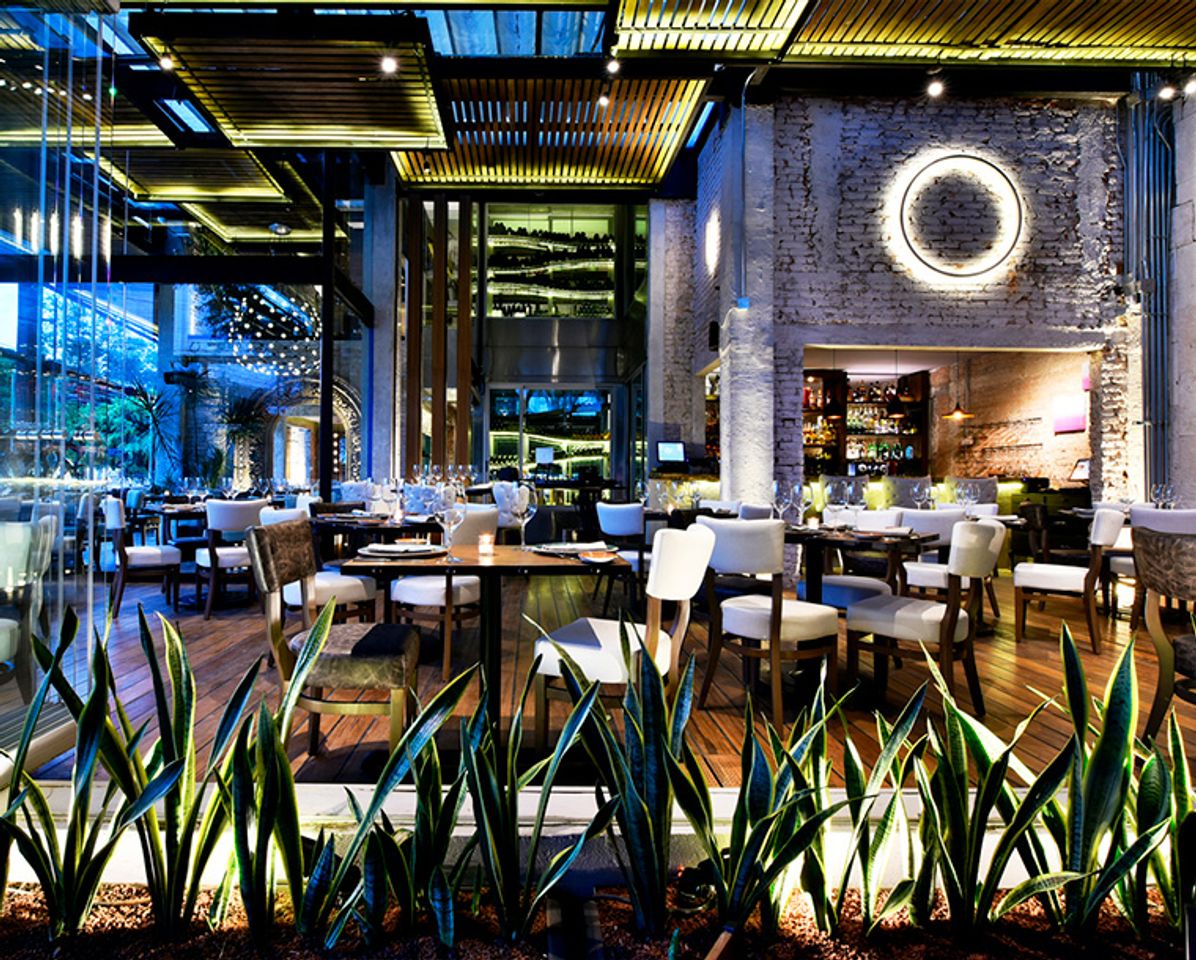 Restaurants Rosa Negra Polanco