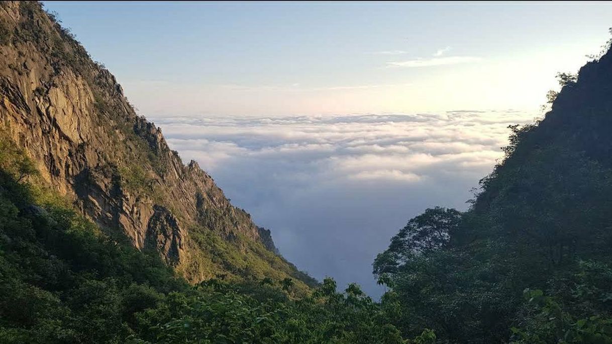 Lugares Reserva Natural Estatal Sierra Las Mitras