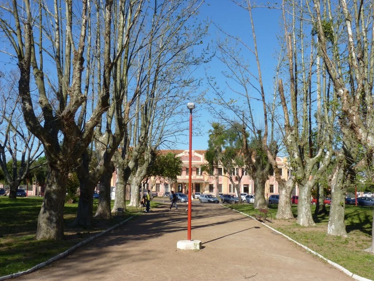 Place Praça da Estação