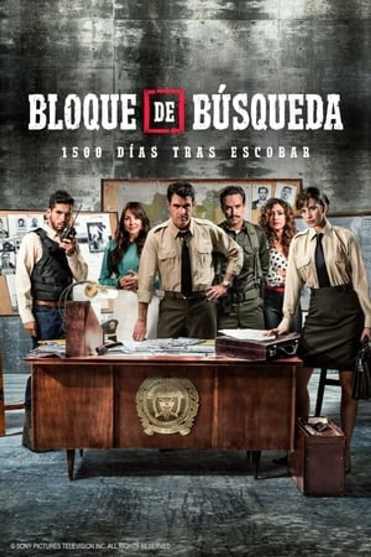 Serie Bloque de búsqueda