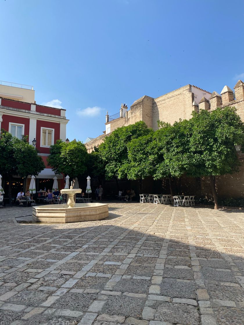 Lugar Plaza de la Alianza