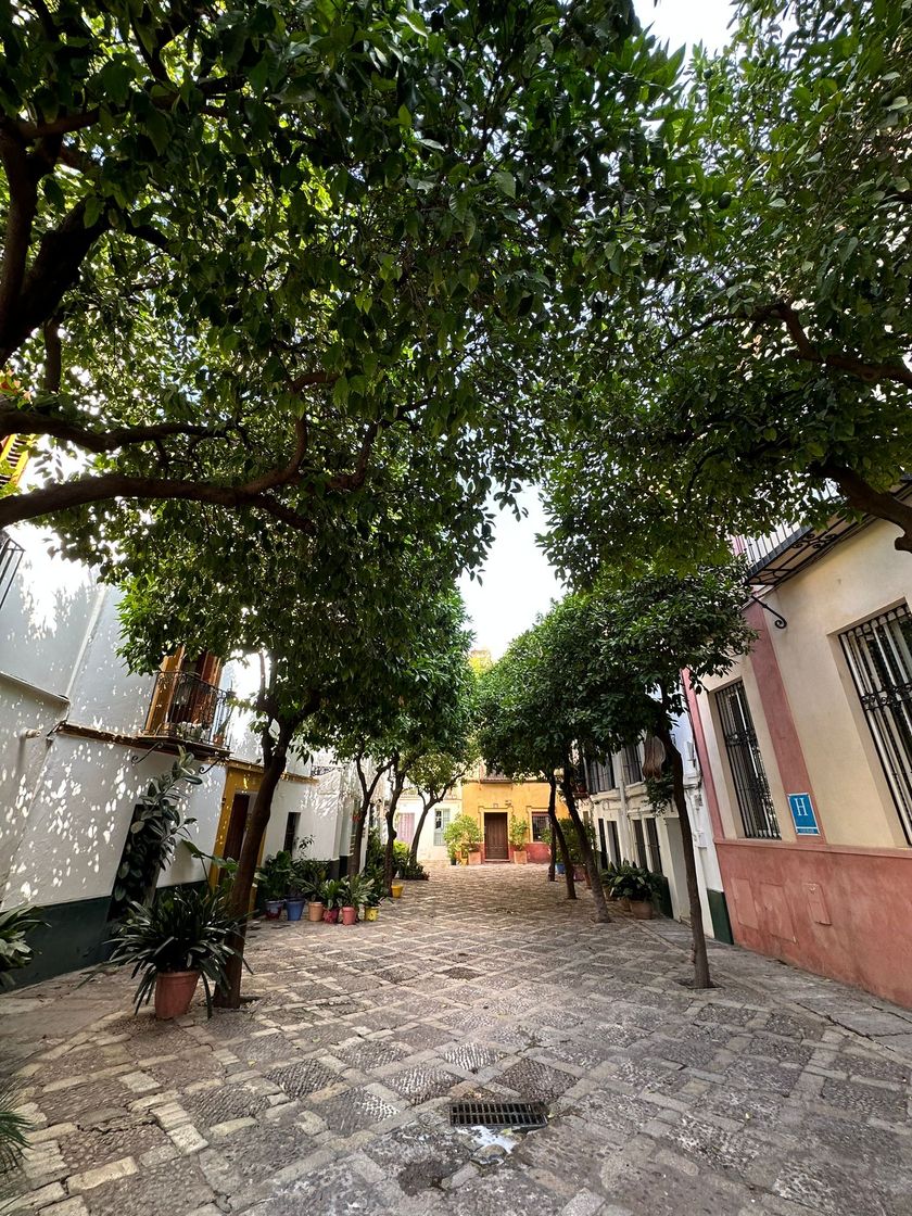 Social Calles