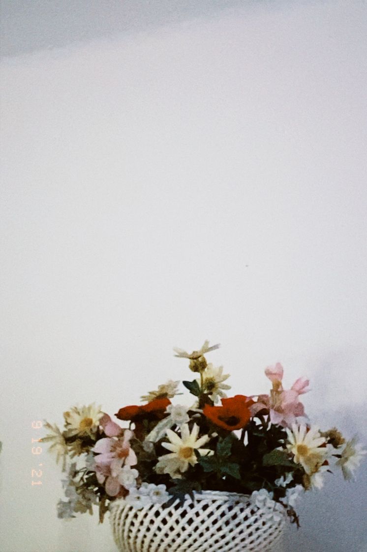 Social 💐