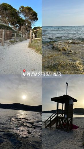 Playa Ses Salines 