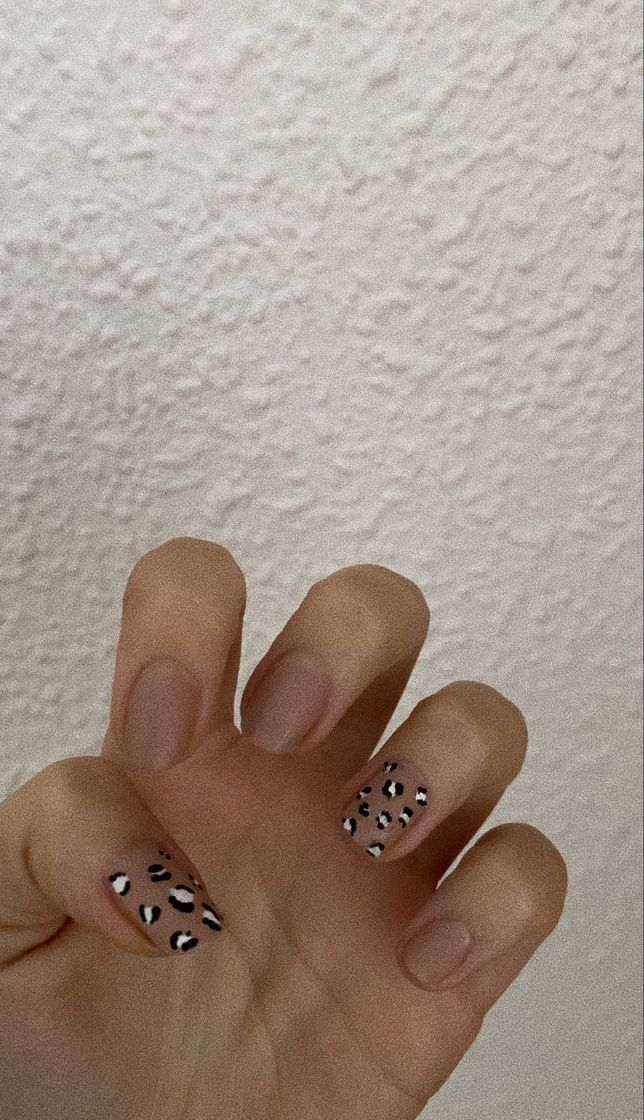 Social 🐆