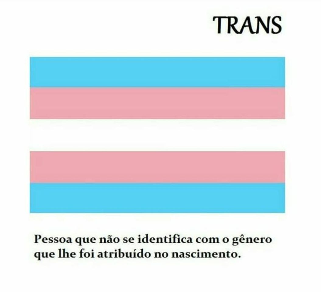 Moda Conteudo lgbt 