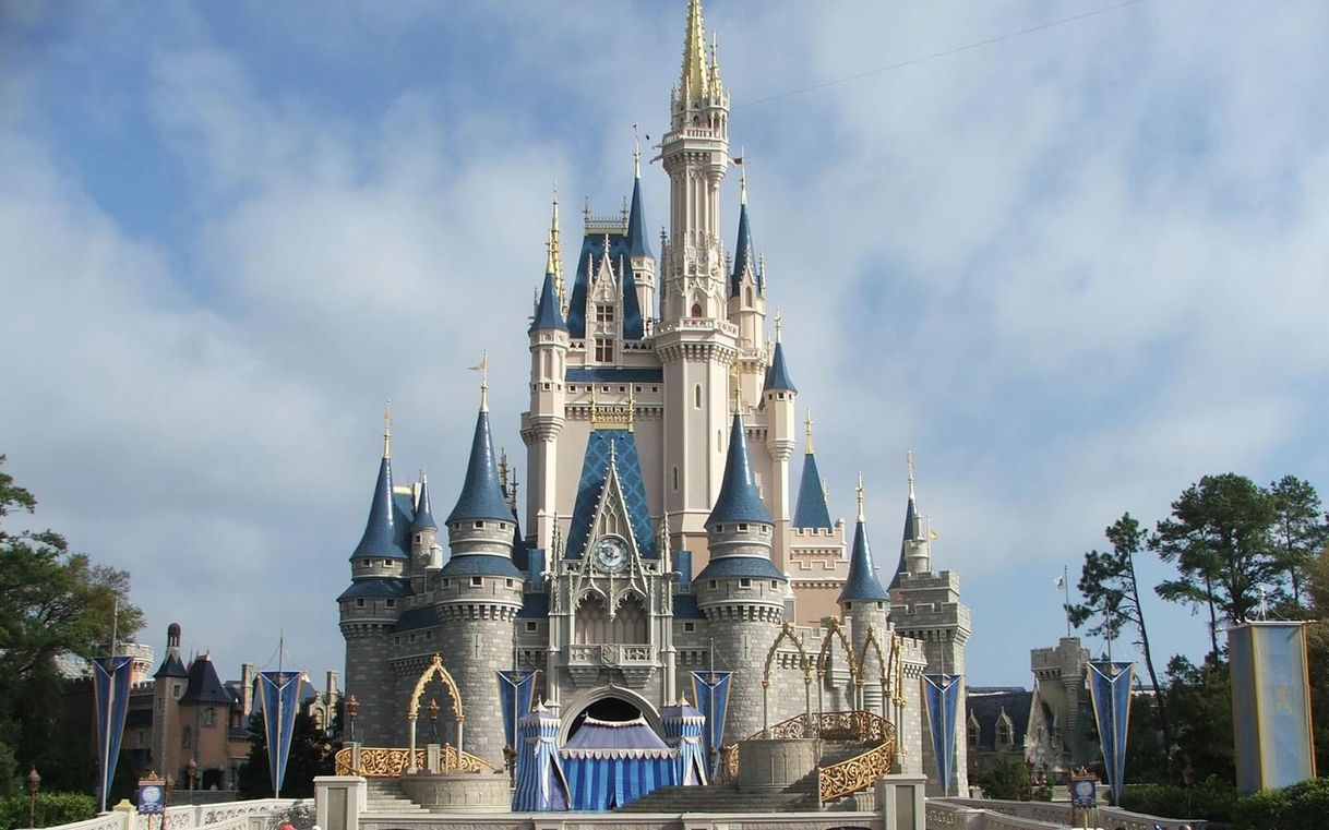 Place Magic Kingdom