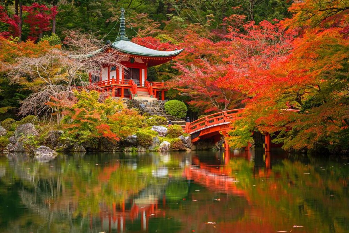 Lugar Kyoto Garden