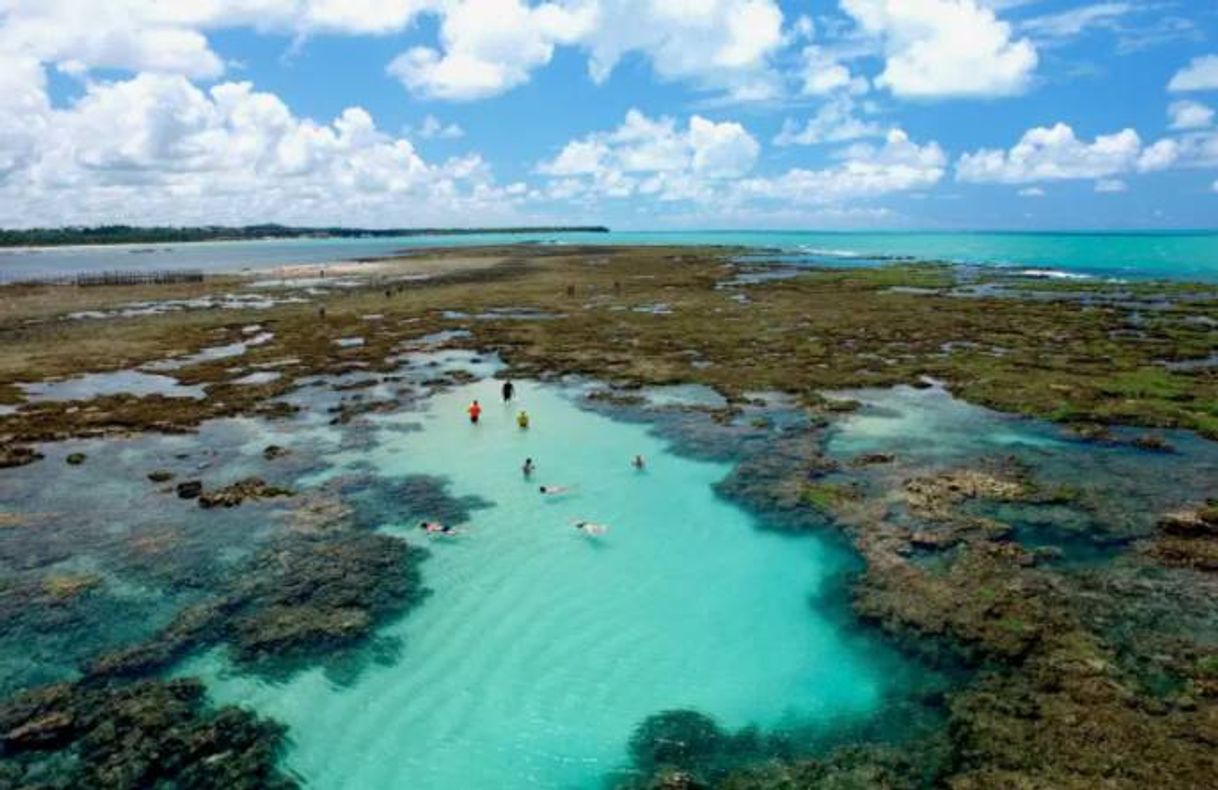 Social Piscinas naturais de Pratagi, Maceió-AL