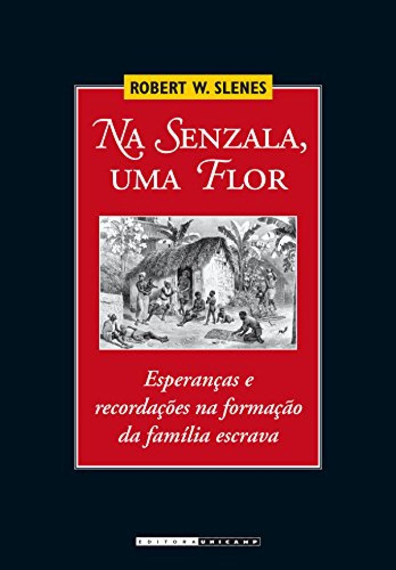 Book Na Senzala, Uma Flor: Esperanças E Recordações Na Formação Da Familia Escrava