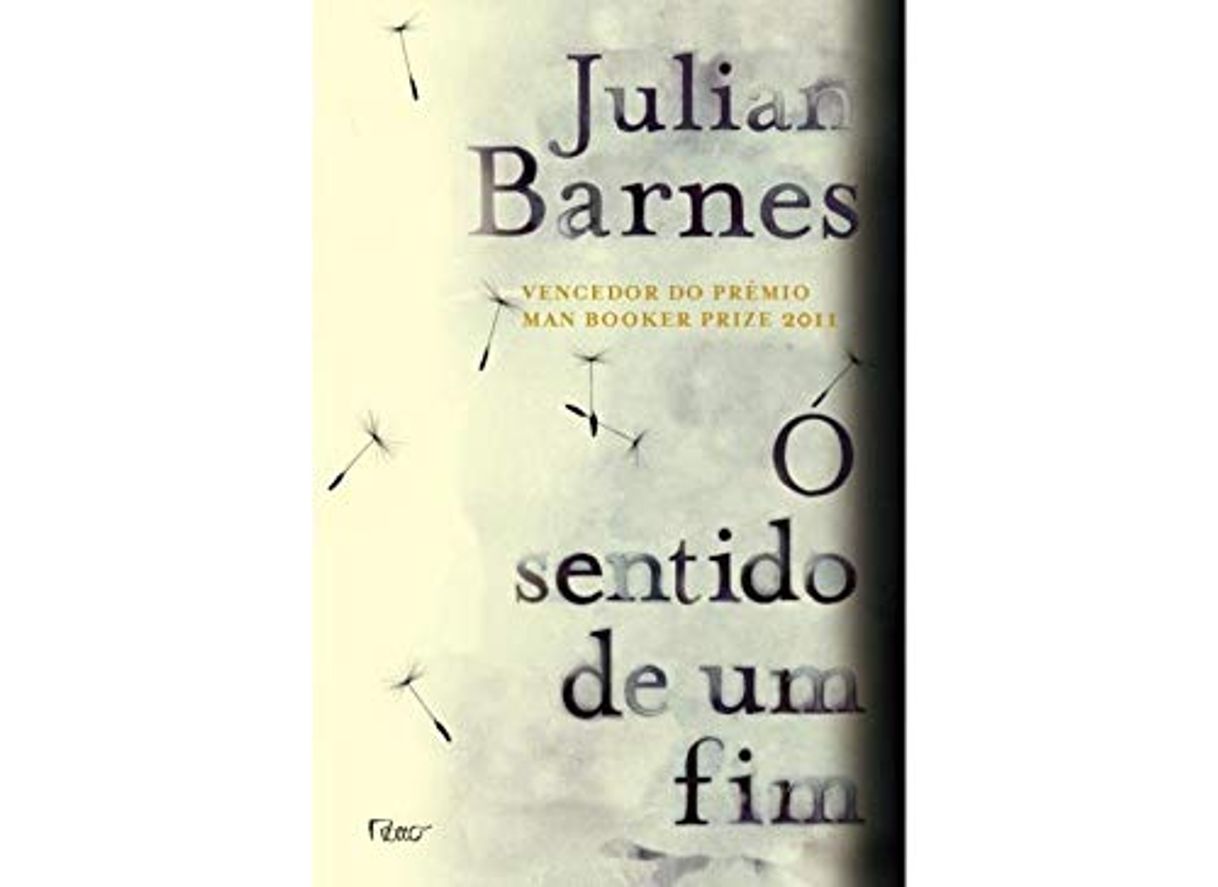 Book O Sentido De Um Fim