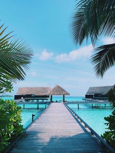 Ilhas Maldivas 🌴