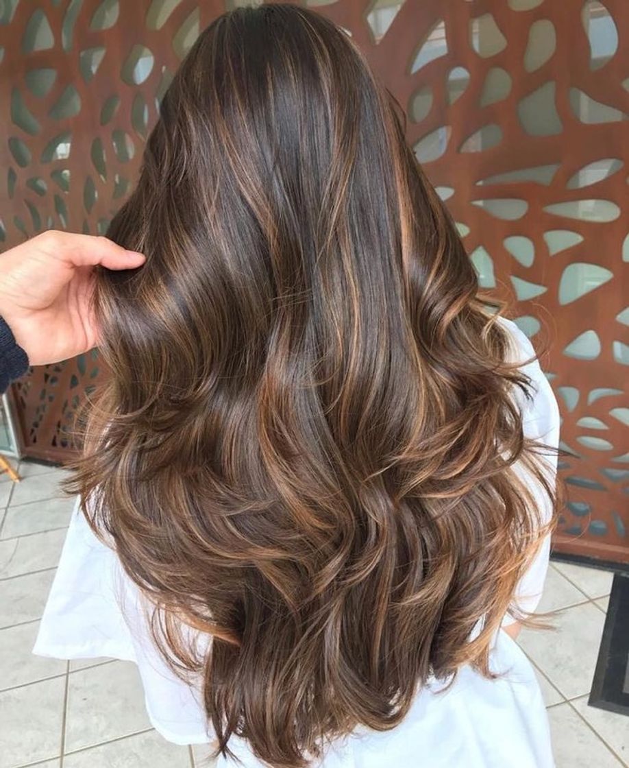 Social Moreno iluminado hair 