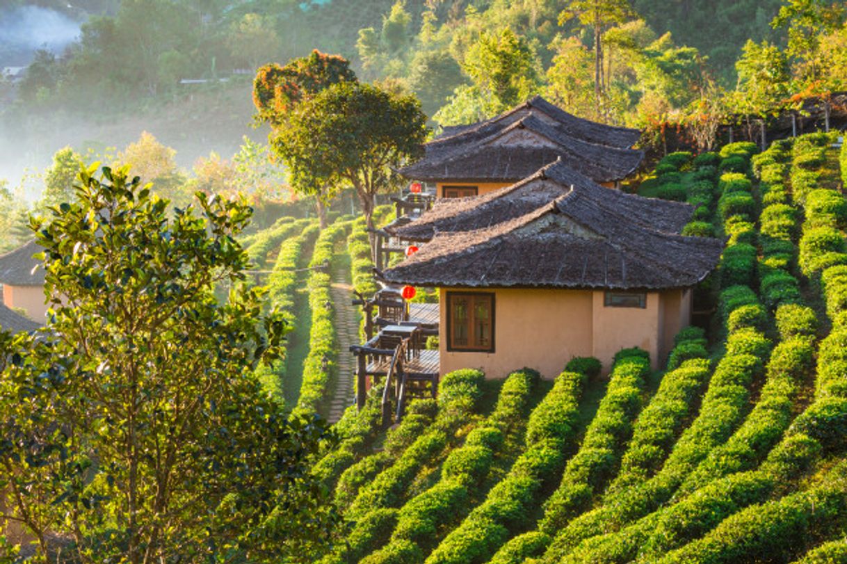 Place Mae Hong Son