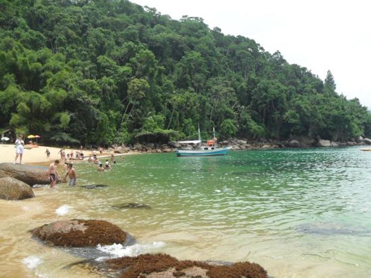 Lugar Praia do Cedro