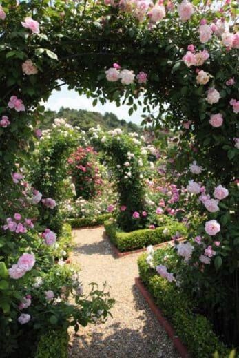 Jardim maravilhoso ❤️😍