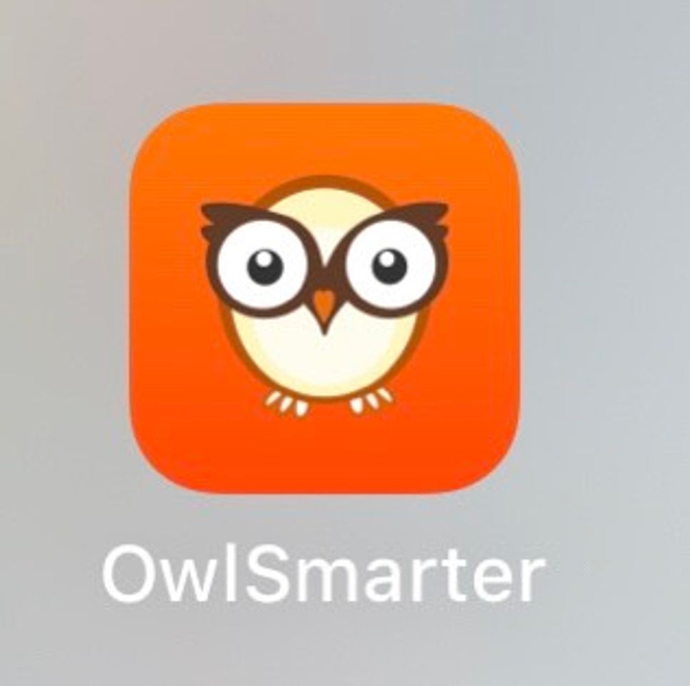 Fashion OWLSMARTER