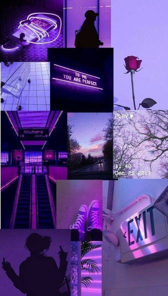 Moda wallpaper roxo lindo