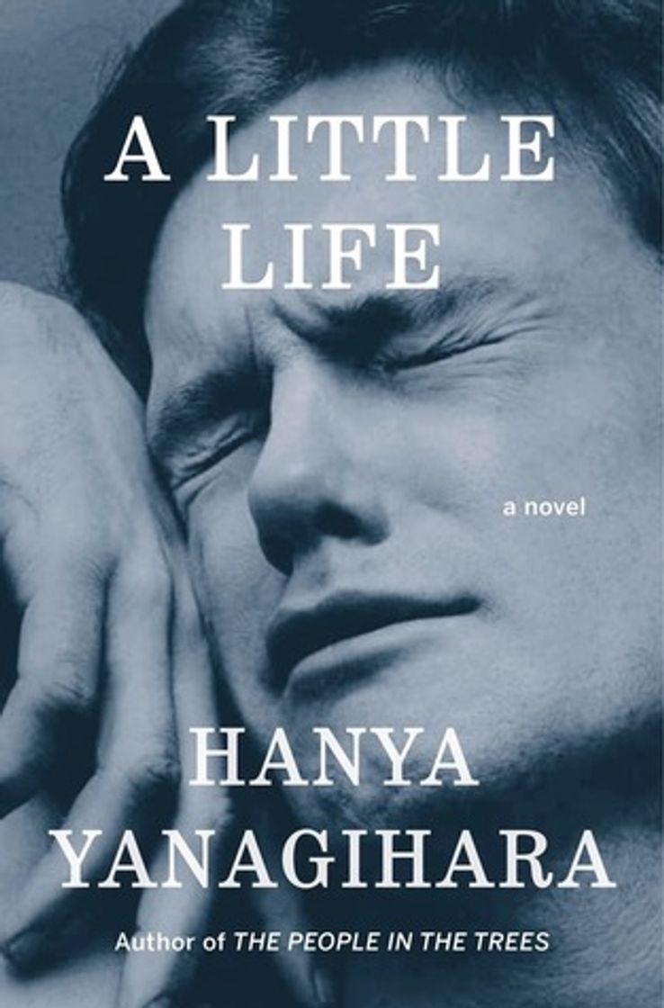 Libro A Little Life