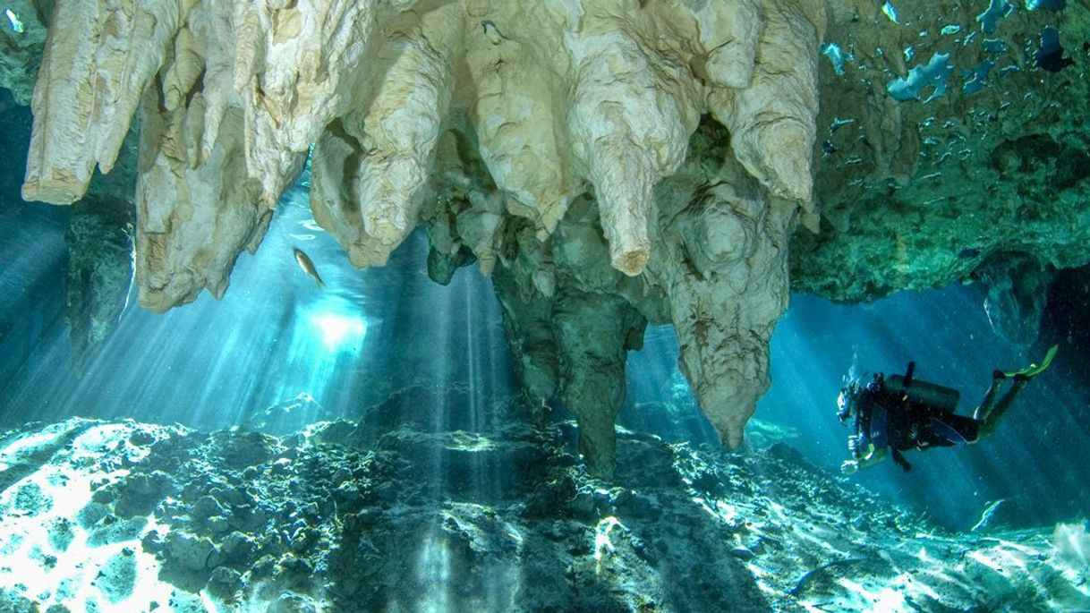 Place Dos Ojos Scuba